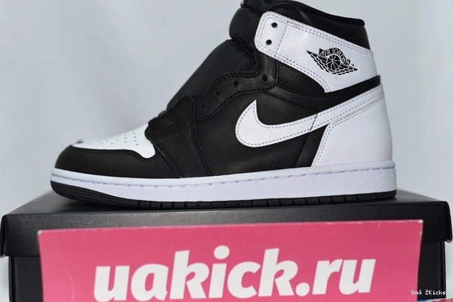 Cozy “Reverse Air 1 DZ5485-010 High OG Jordan Panda” 65 0805